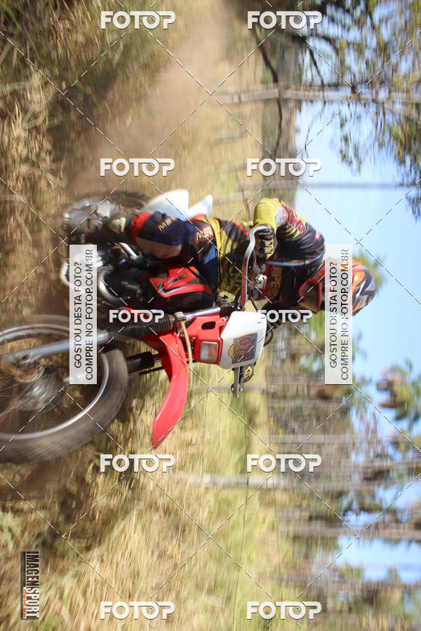 Buy your photos of the event3 Trilho dos Frangos on Fotop