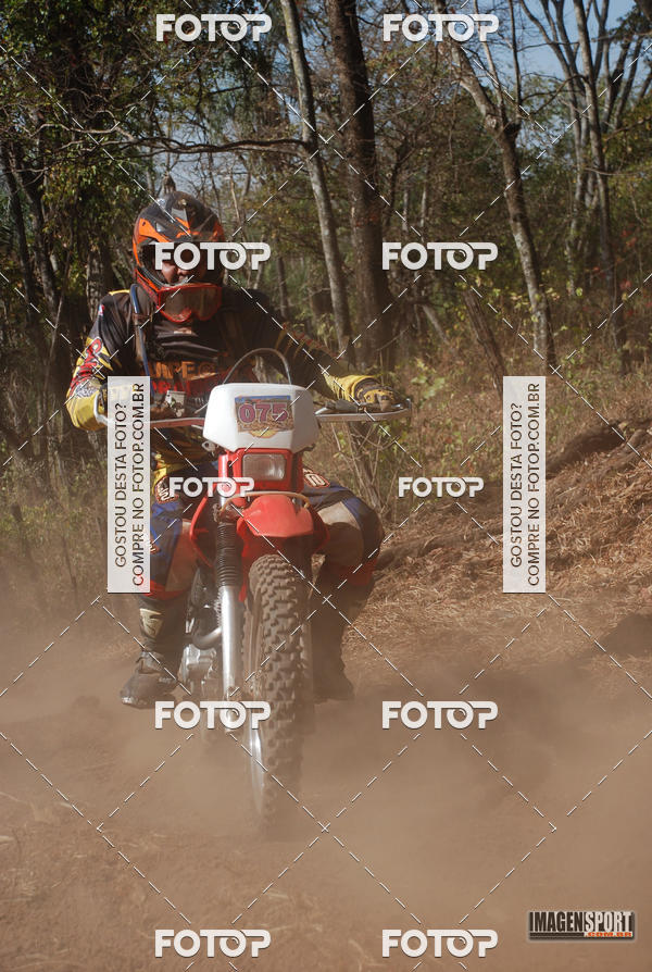 Buy your photos of the event3 Trilho dos Frangos on Fotop