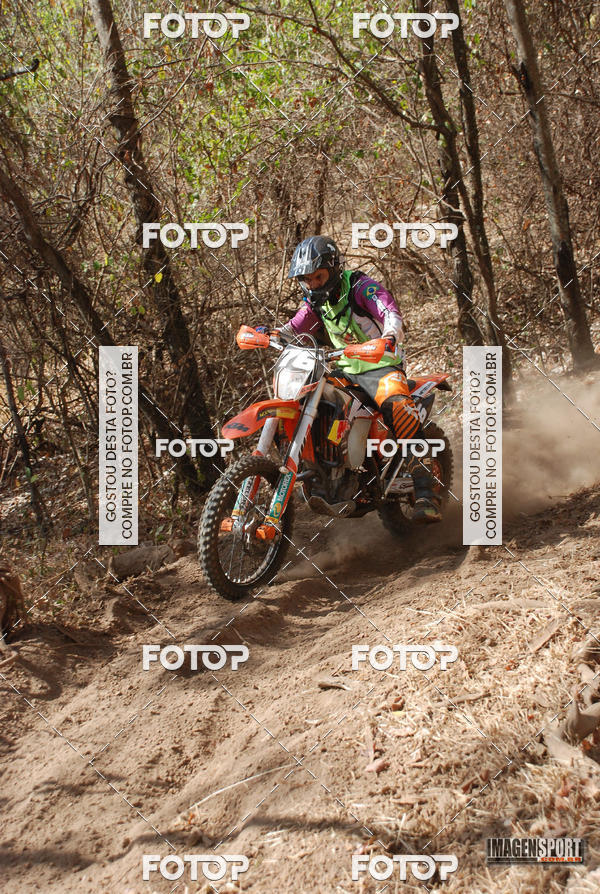 Buy your photos of the event3 Trilho dos Frangos on Fotop