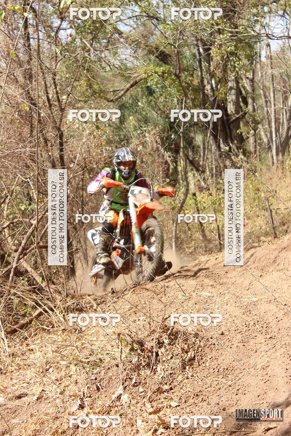 Buy your photos of the event3 Trilho dos Frangos on Fotop