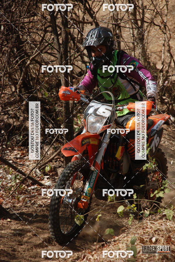 Buy your photos of the event3 Trilho dos Frangos on Fotop