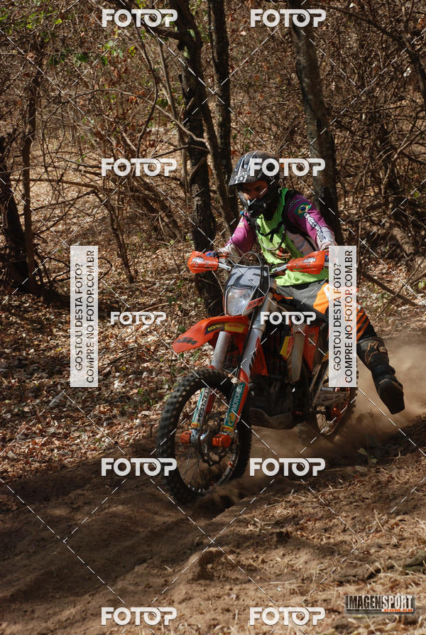 Buy your photos of the event3 Trilho dos Frangos on Fotop