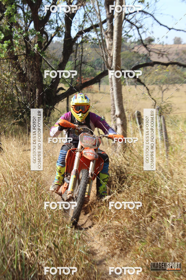 Buy your photos of the event3 Trilho dos Frangos on Fotop