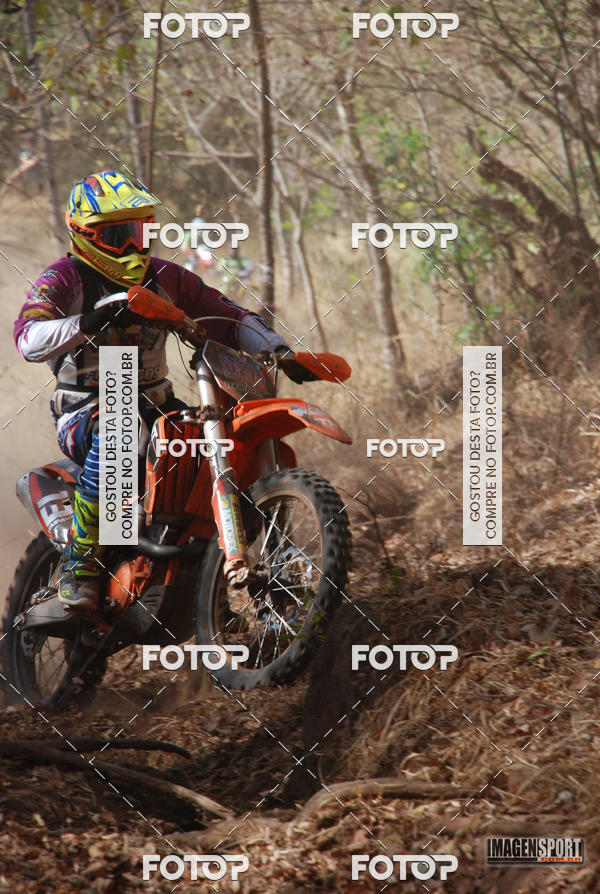 Buy your photos of the event3 Trilho dos Frangos on Fotop