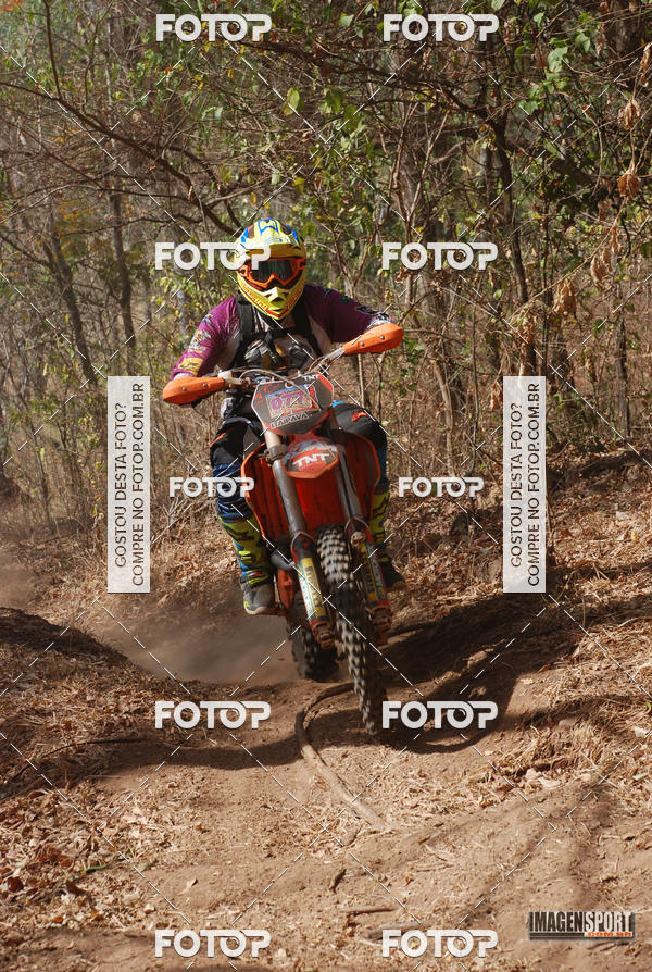 Buy your photos of the event3 Trilho dos Frangos on Fotop