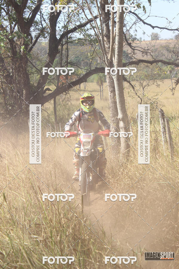 Buy your photos of the event3 Trilho dos Frangos on Fotop