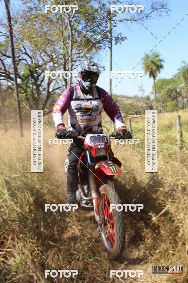 Buy your photos of the event3 Trilho dos Frangos on Fotop