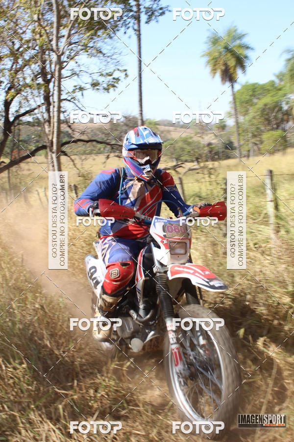 Buy your photos of the event3 Trilho dos Frangos on Fotop