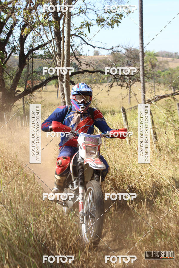 Buy your photos of the event3 Trilho dos Frangos on Fotop