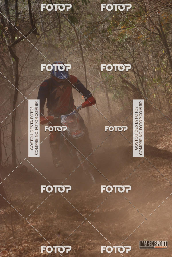Buy your photos of the event3 Trilho dos Frangos on Fotop