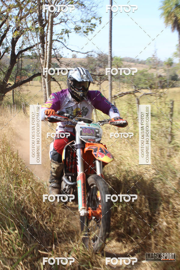 Buy your photos of the event3 Trilho dos Frangos on Fotop