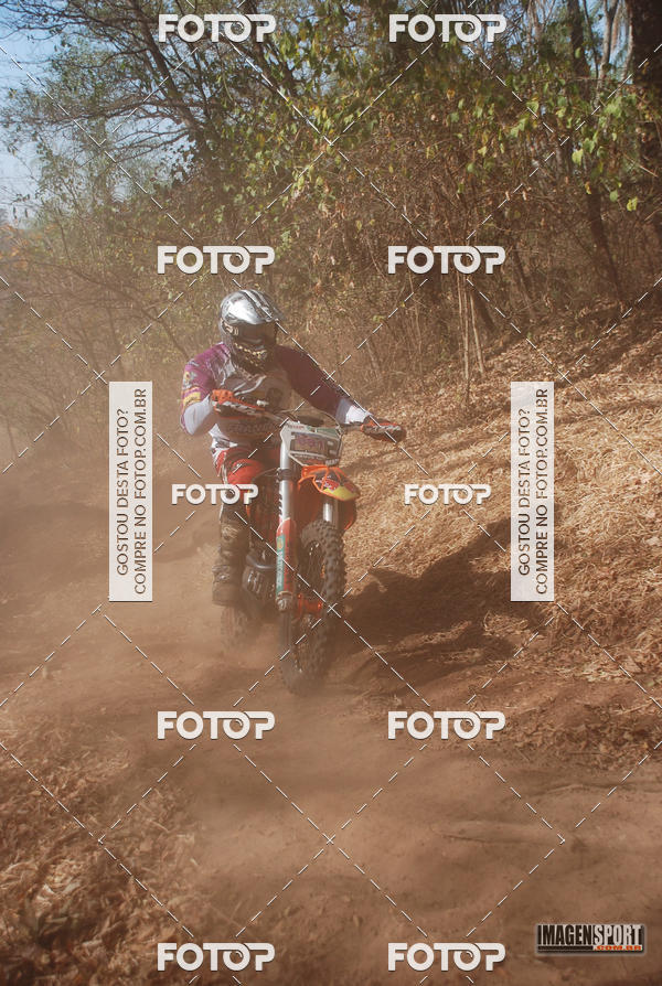 Buy your photos of the event3 Trilho dos Frangos on Fotop