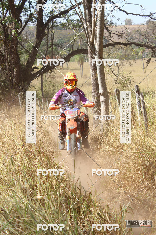 Buy your photos of the event3 Trilho dos Frangos on Fotop