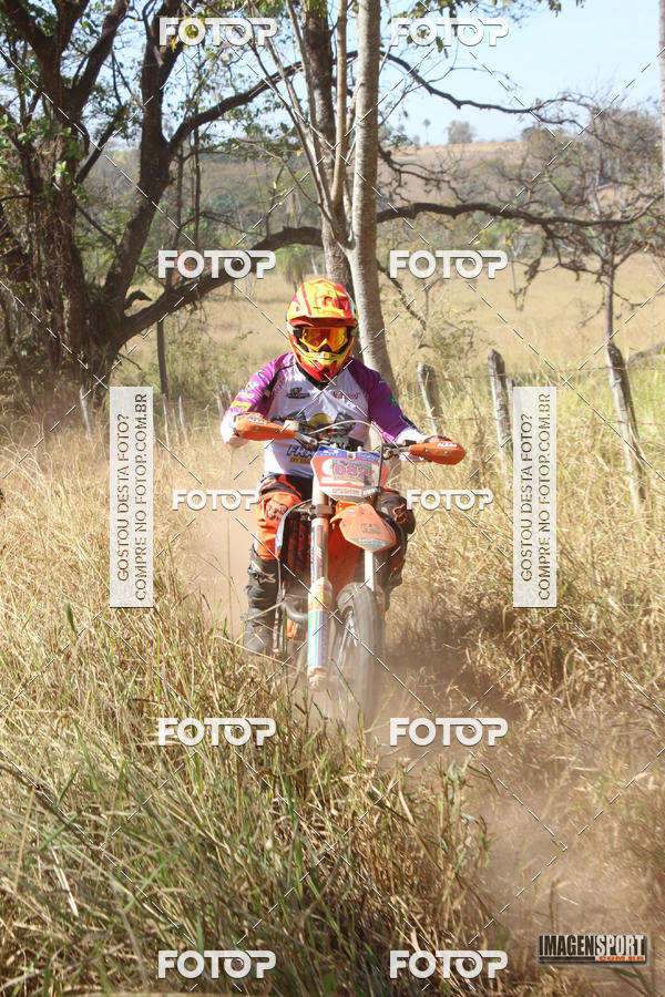 Buy your photos of the event3 Trilho dos Frangos on Fotop