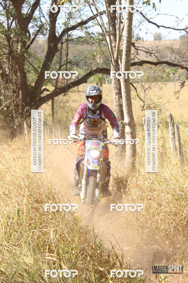 Buy your photos of the event3 Trilho dos Frangos on Fotop