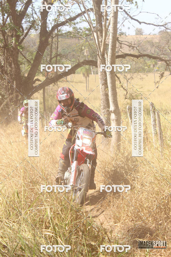 Buy your photos of the event3 Trilho dos Frangos on Fotop