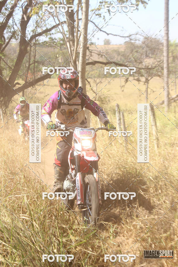 Buy your photos of the event3 Trilho dos Frangos on Fotop