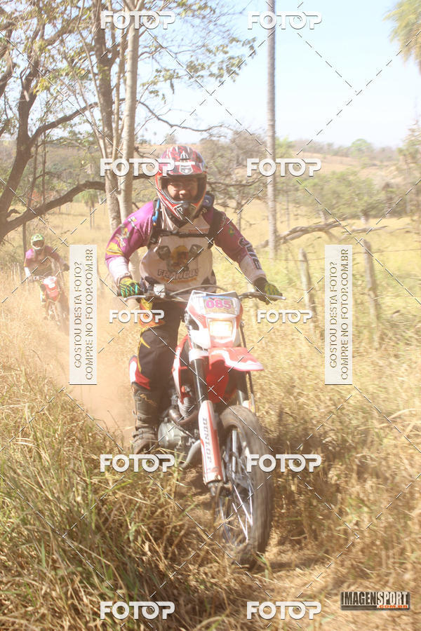 Buy your photos of the event3 Trilho dos Frangos on Fotop