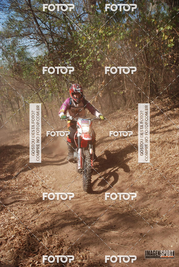 Buy your photos of the event3 Trilho dos Frangos on Fotop