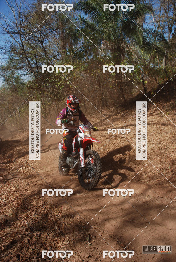 Buy your photos of the event3 Trilho dos Frangos on Fotop