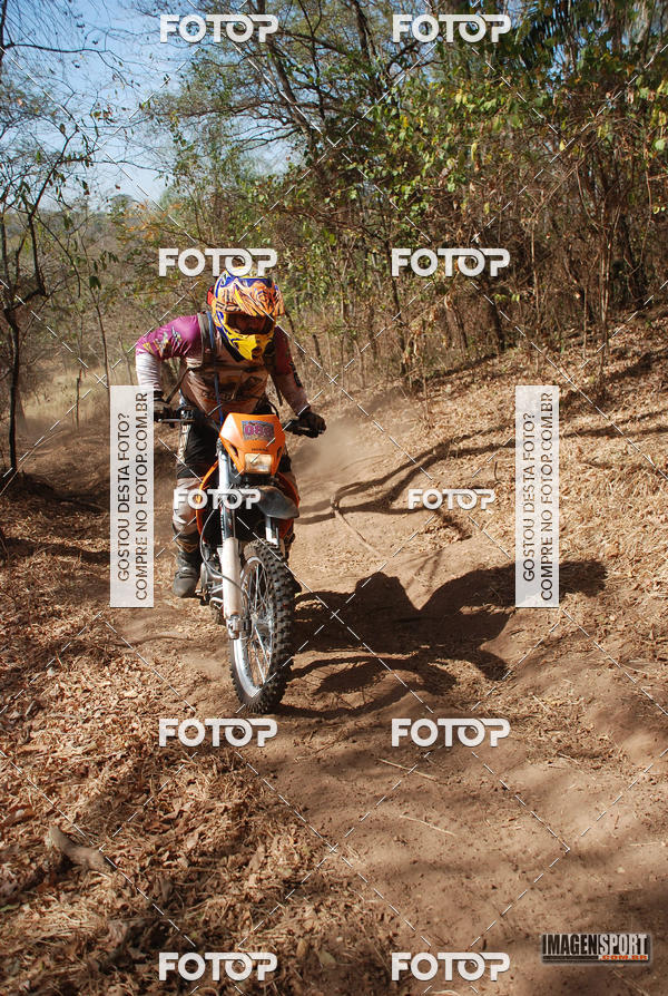 Buy your photos of the event3 Trilho dos Frangos on Fotop