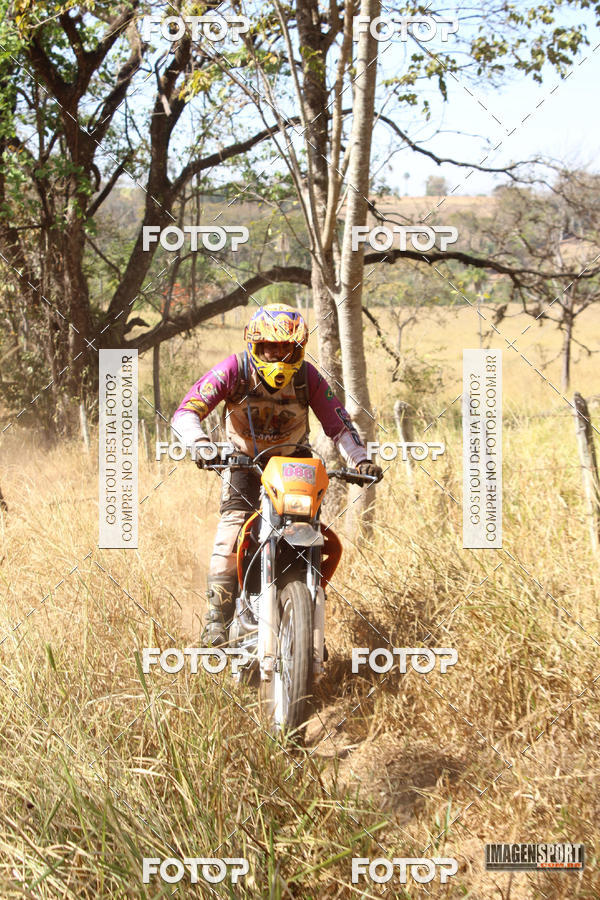 Buy your photos of the event3 Trilho dos Frangos on Fotop