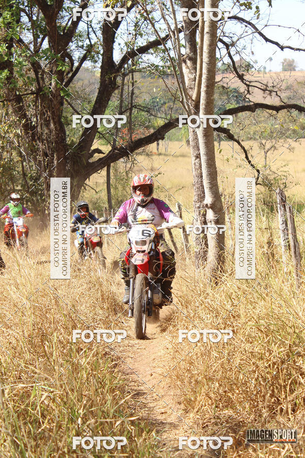 Buy your photos of the event3 Trilho dos Frangos on Fotop