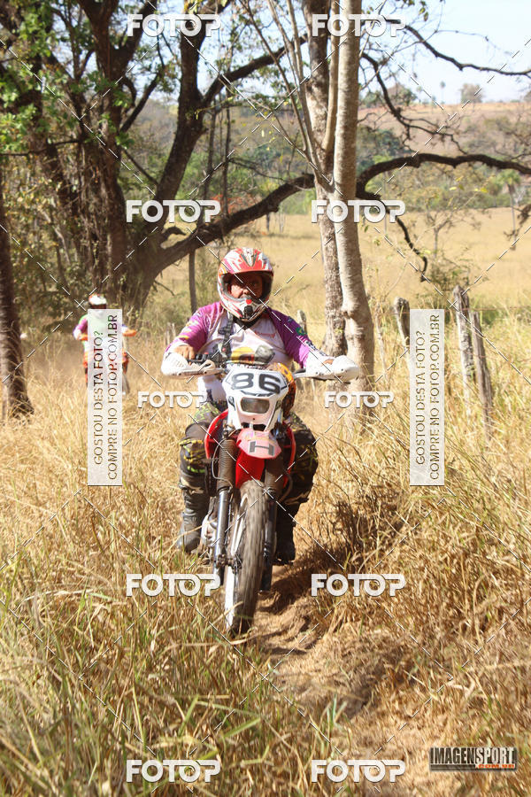 Buy your photos of the event3 Trilho dos Frangos on Fotop