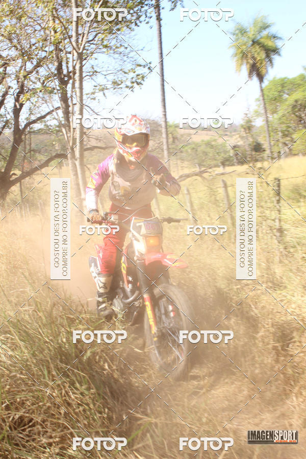 Buy your photos of the event3 Trilho dos Frangos on Fotop