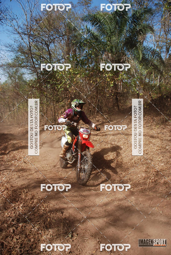 Buy your photos of the event3 Trilho dos Frangos on Fotop