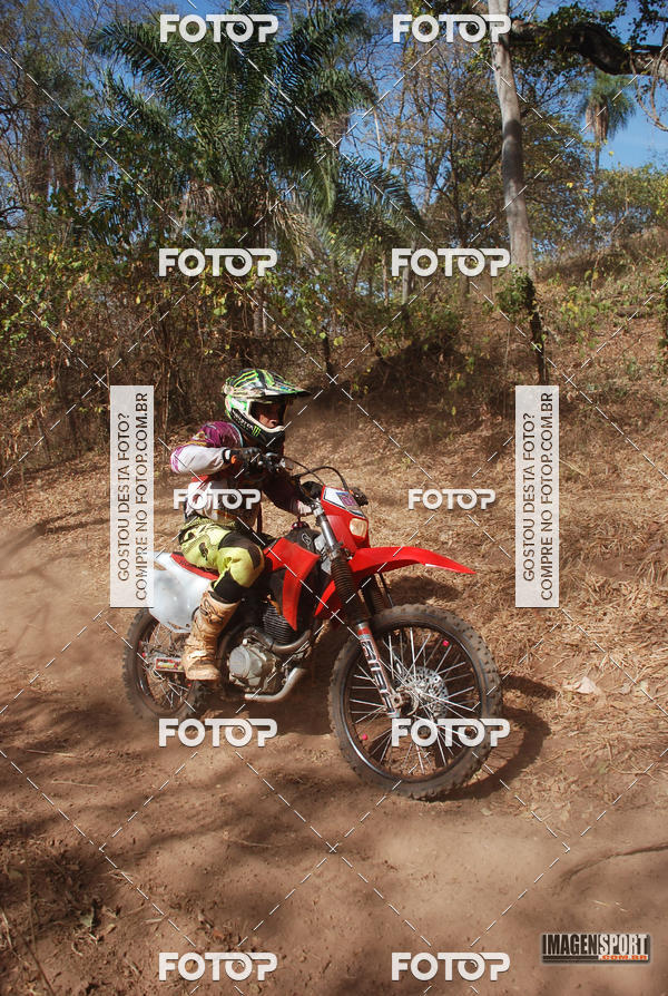 Buy your photos of the event3 Trilho dos Frangos on Fotop