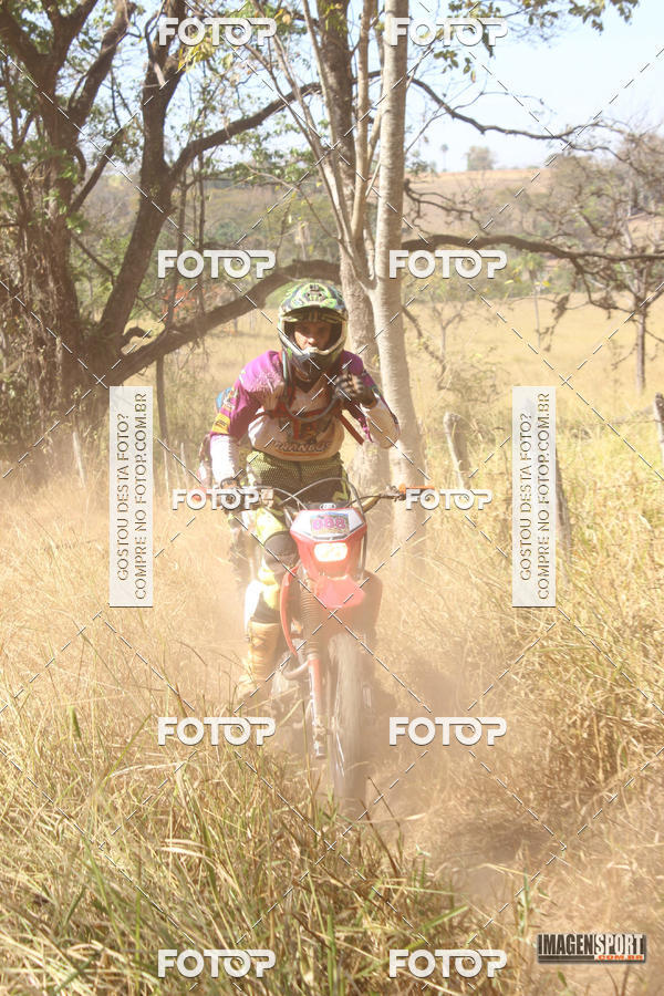 Buy your photos of the event3 Trilho dos Frangos on Fotop