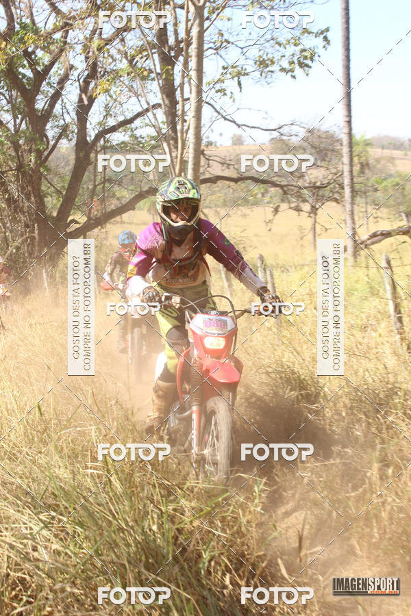 Buy your photos of the event3 Trilho dos Frangos on Fotop