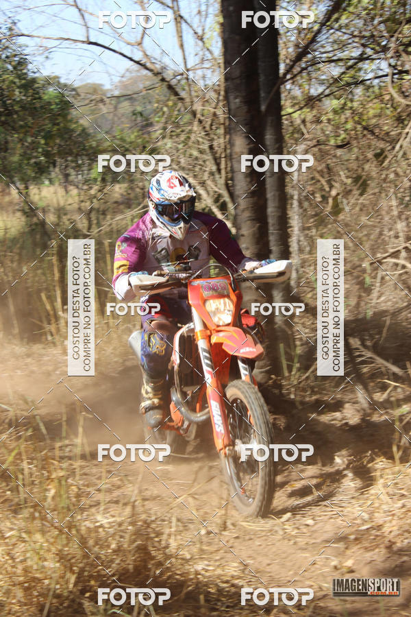 Buy your photos of the event3 Trilho dos Frangos on Fotop