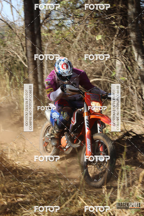 Buy your photos of the event3 Trilho dos Frangos on Fotop