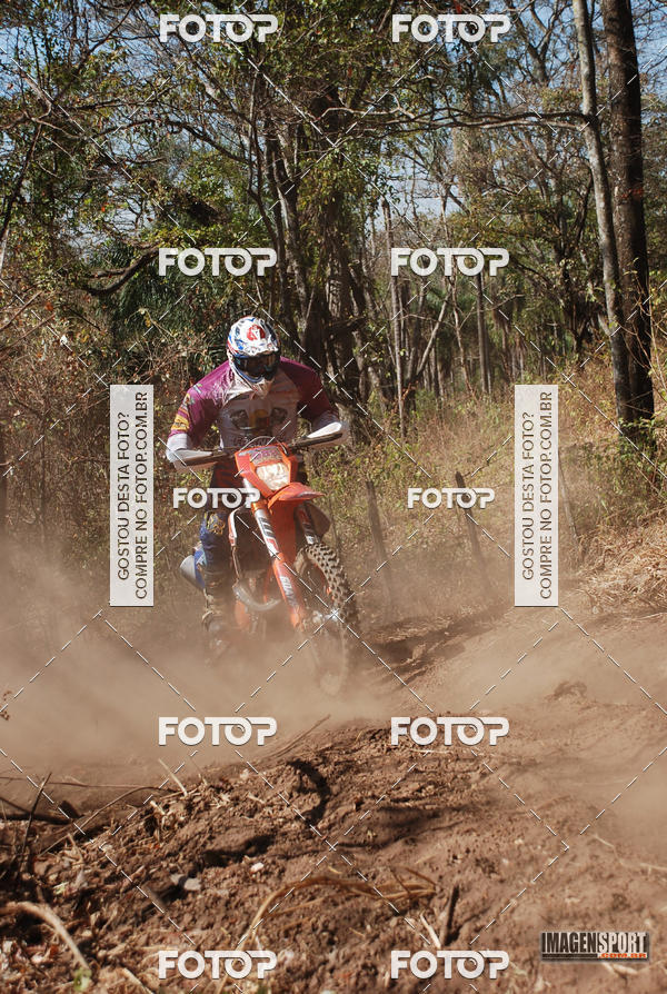 Buy your photos of the event3 Trilho dos Frangos on Fotop