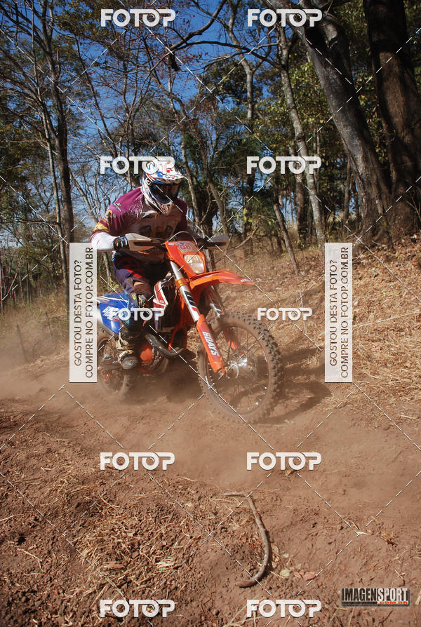 Buy your photos of the event3 Trilho dos Frangos on Fotop