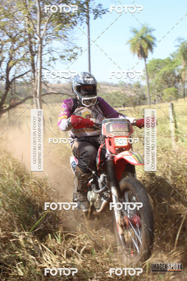 Buy your photos of the event3 Trilho dos Frangos on Fotop