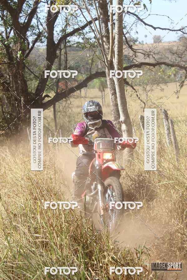 Buy your photos of the event3 Trilho dos Frangos on Fotop