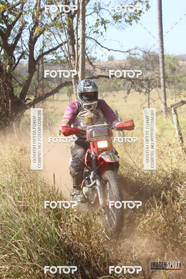 Buy your photos of the event3 Trilho dos Frangos on Fotop