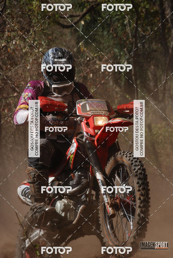 Buy your photos of the event3 Trilho dos Frangos on Fotop