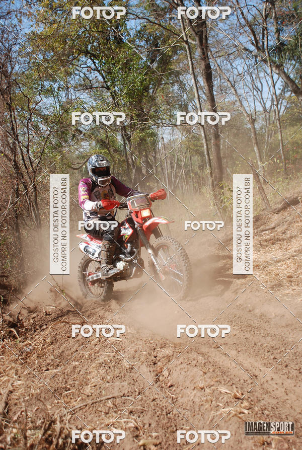 Buy your photos of the event3 Trilho dos Frangos on Fotop