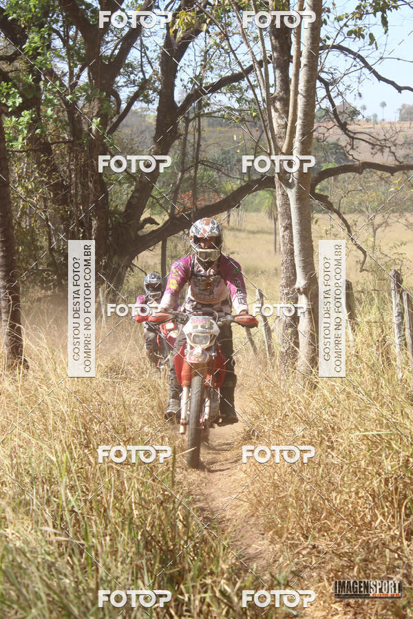 Buy your photos of the event3 Trilho dos Frangos on Fotop