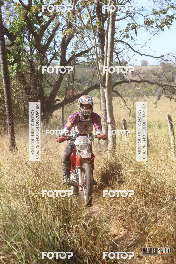 Buy your photos of the event3 Trilho dos Frangos on Fotop