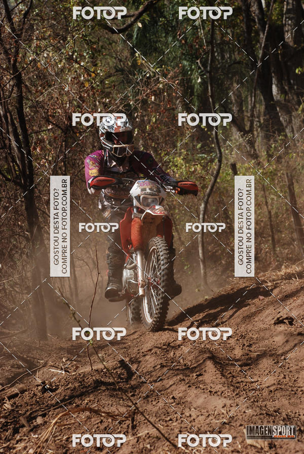 Buy your photos of the event3 Trilho dos Frangos on Fotop