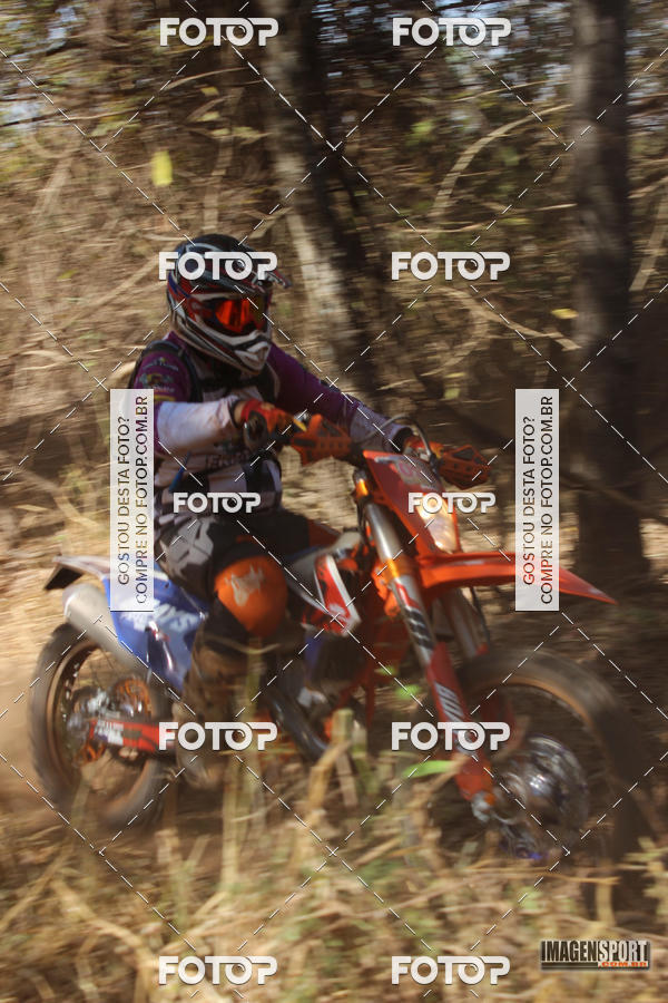 Buy your photos of the event3 Trilho dos Frangos on Fotop