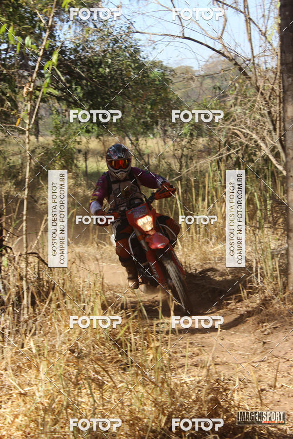 Buy your photos of the event3 Trilho dos Frangos on Fotop