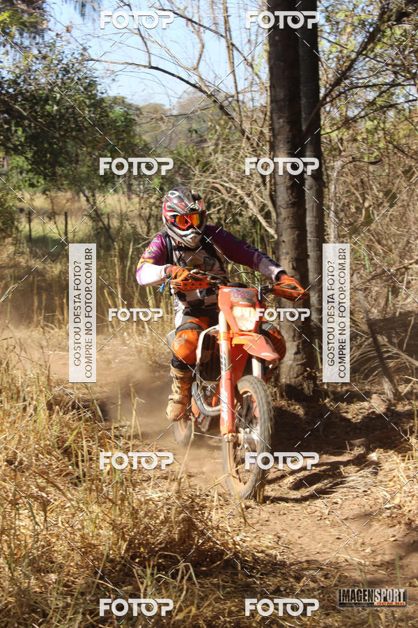 Buy your photos of the event3 Trilho dos Frangos on Fotop