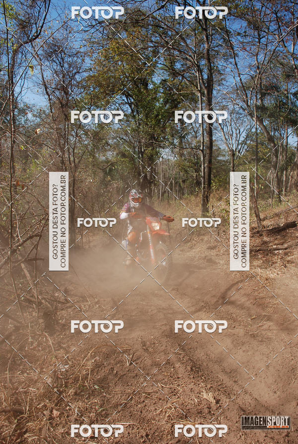 Buy your photos of the event3 Trilho dos Frangos on Fotop