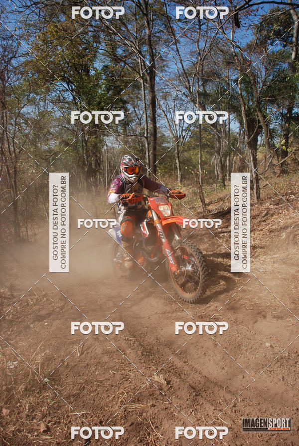 Buy your photos of the event3 Trilho dos Frangos on Fotop